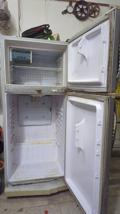 Waves Company Fridge