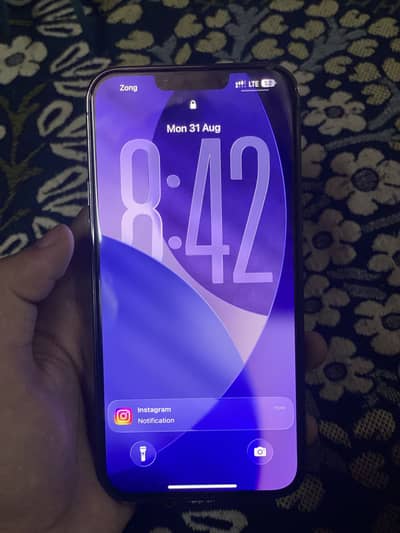 Apple iPhone 13 Pro Max