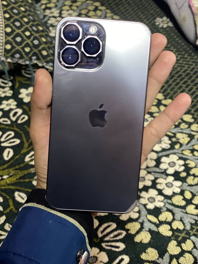 Apple iPhone 13 Pro Max 1