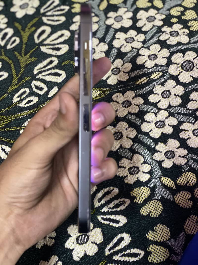 Apple iPhone 13 Pro Max 2