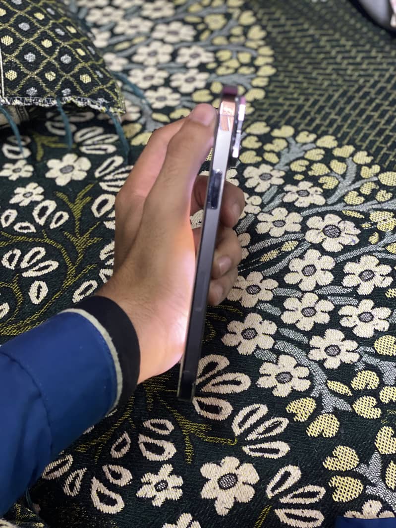 Apple iPhone 13 Pro Max 4