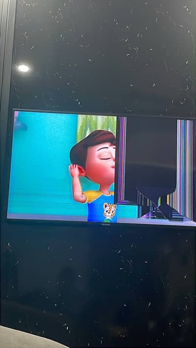 Samsung 49” TV - Cracked Panel