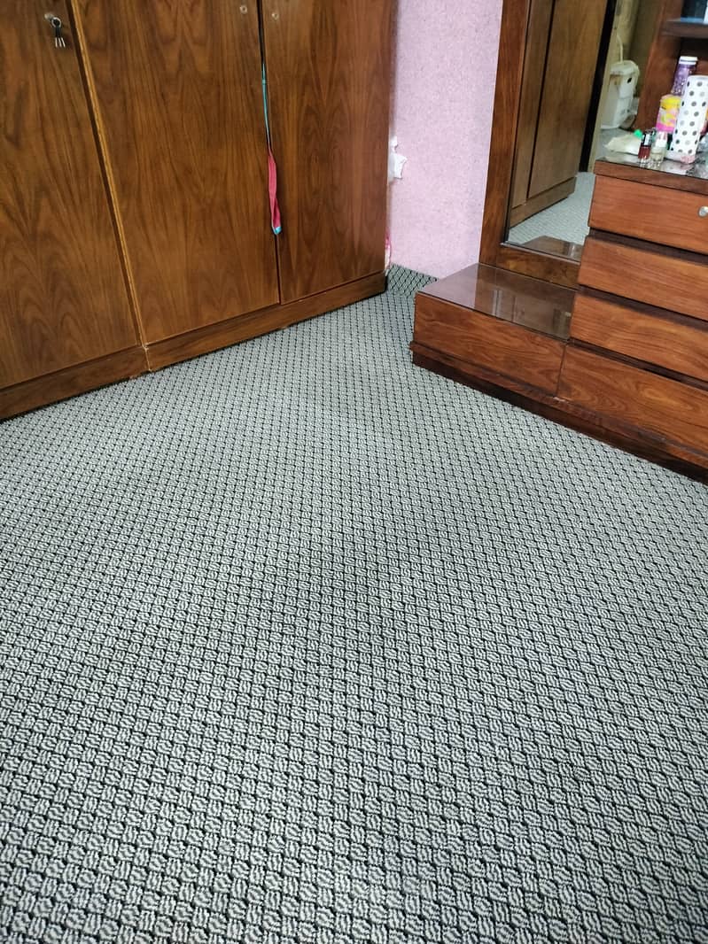 Carpet 4