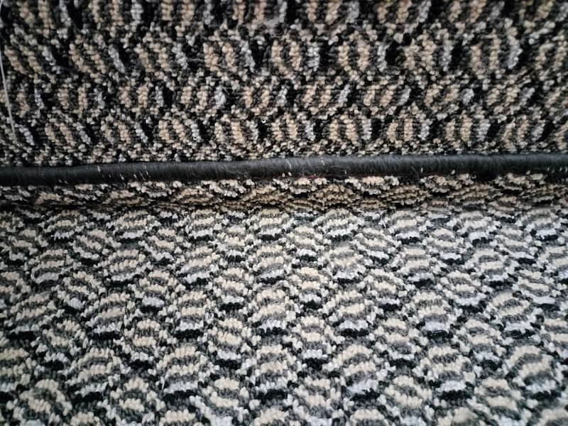 Carpet 6