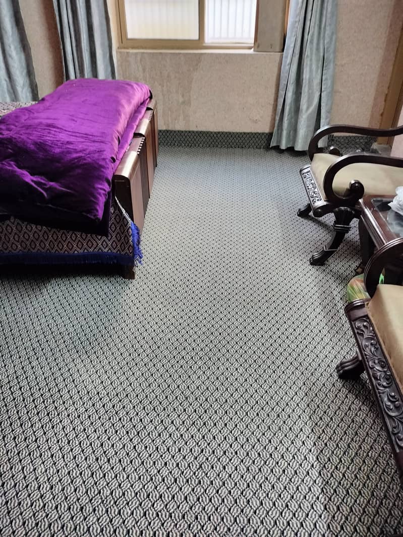 Carpet 7