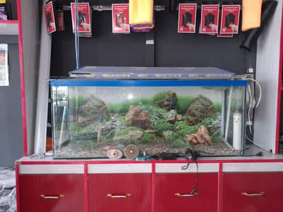 Fish Aquarium For Sale