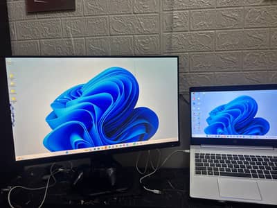 HP Z24 24-Inch IPS Monitor with Adjustable Stand