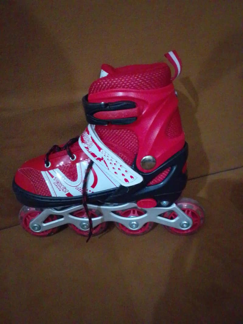 skating shoes 2