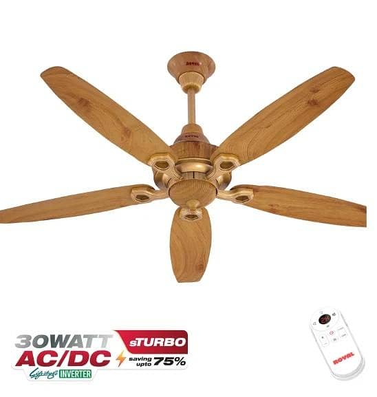 Ceiling Fan 2
