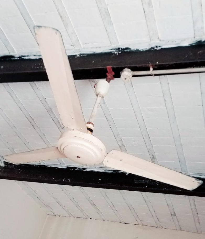 ceiling Fan 1