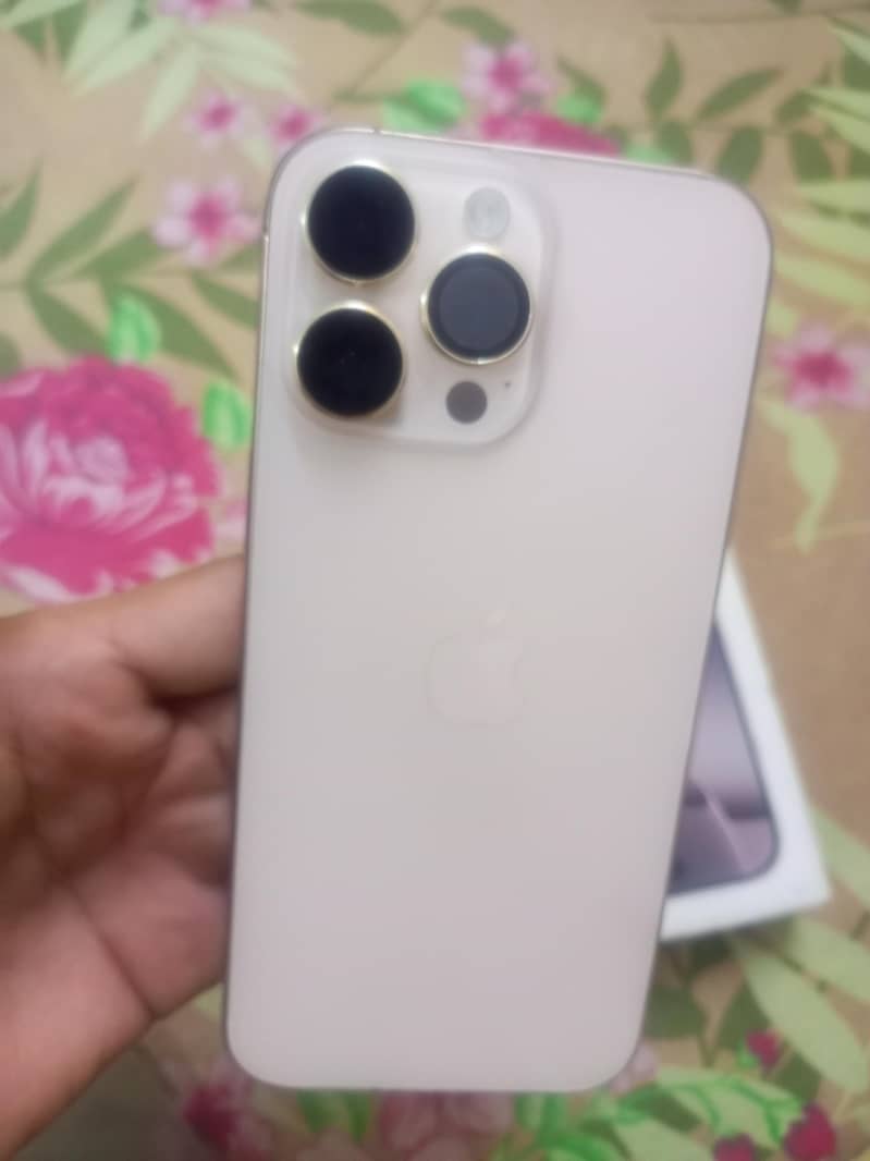 Apple iPhone 16 Pro Max 1