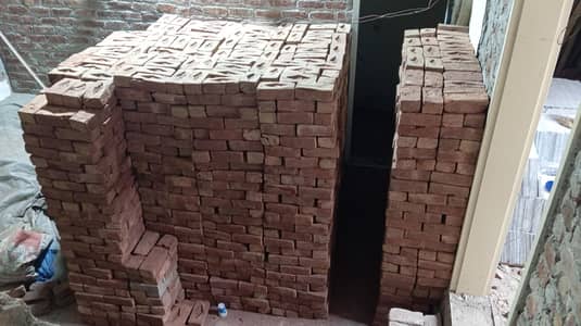 Awal briks for sale in Gujranwala enten for sale brisks 1000 ENTEN