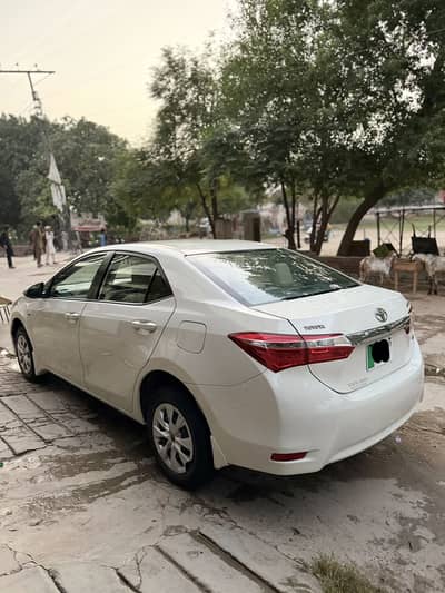 Toyota Corolla XLI 2019 home use car