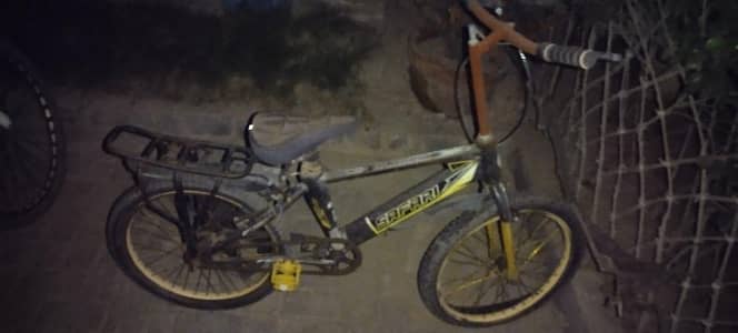 Safari Bicycle