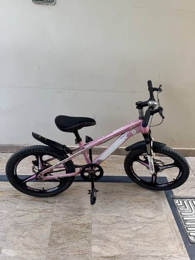 Double Disc brake cycle