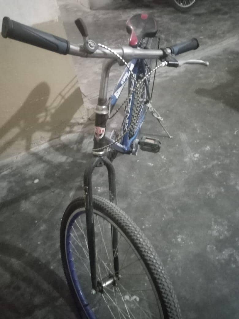 Mountain bicycle 0