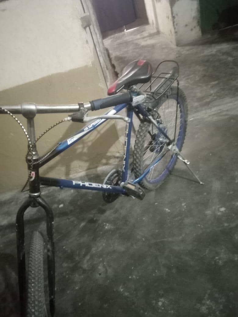 Mountain bicycle 1