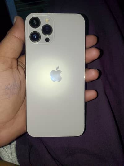 Apple iPhone 12 Pro Max