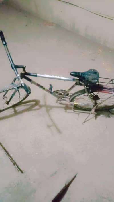 wiler cycle ha stikering hoi ha  tair new ha