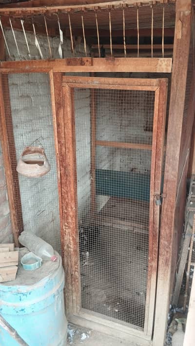 3 cages for available