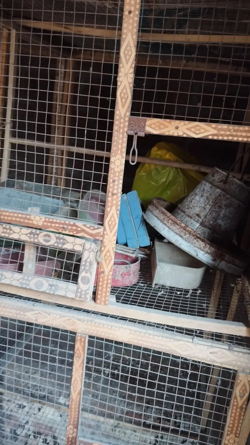 3 cages for available — photo 3