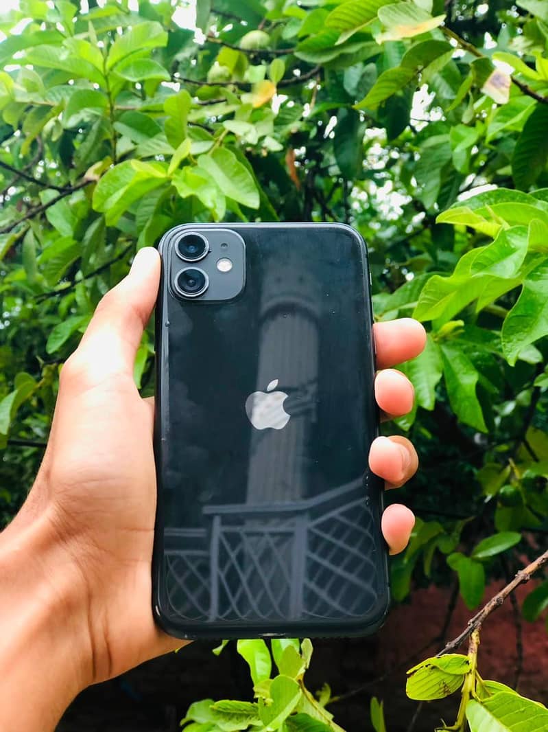 Apple iPhone 11 0