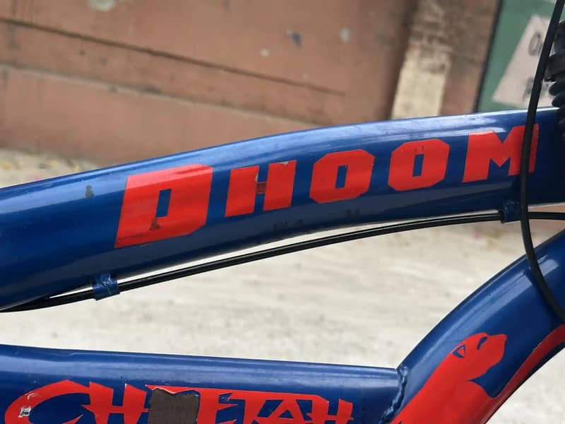 BICYCLE FOR CYCLE 2