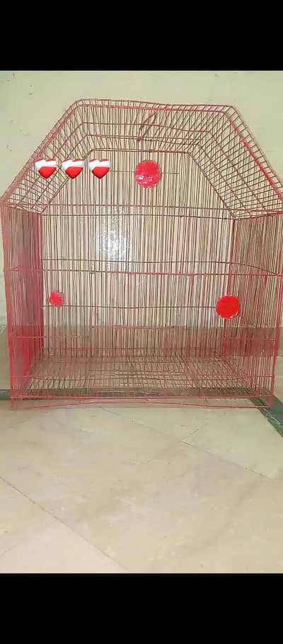 cage and different parrot available hai