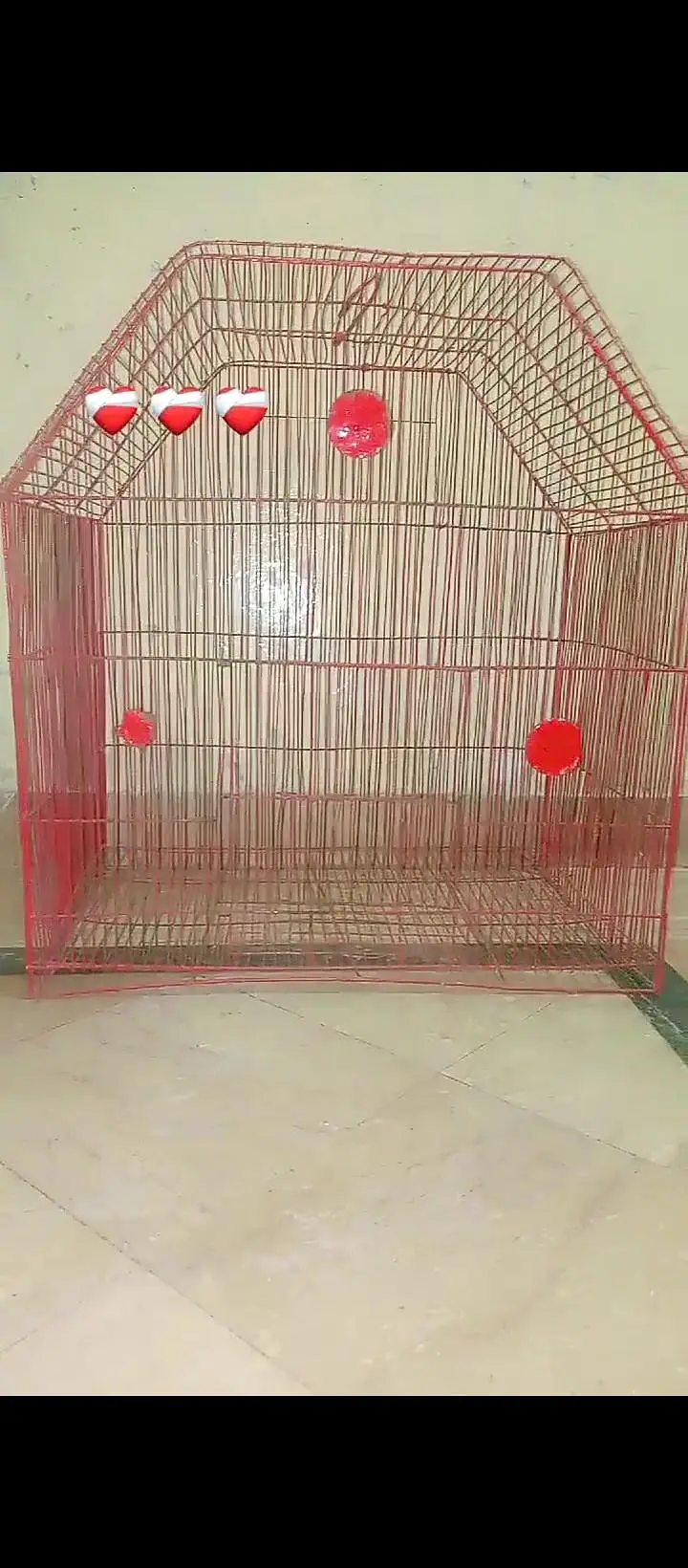 cage and different parrot available hai — photo 2