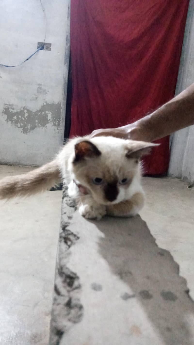 undefined 1