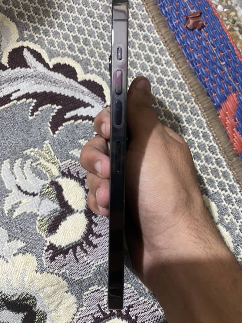 Apple iPhone 13 Pro Max 2