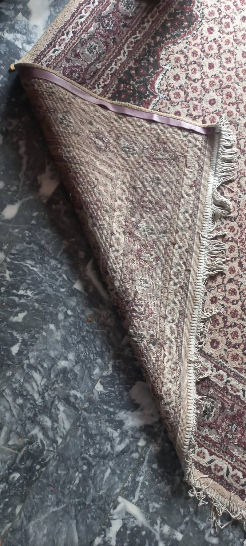 carpet clean 1
