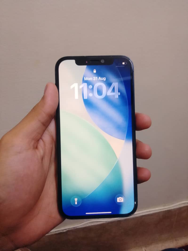 Apple iPhone 12 1