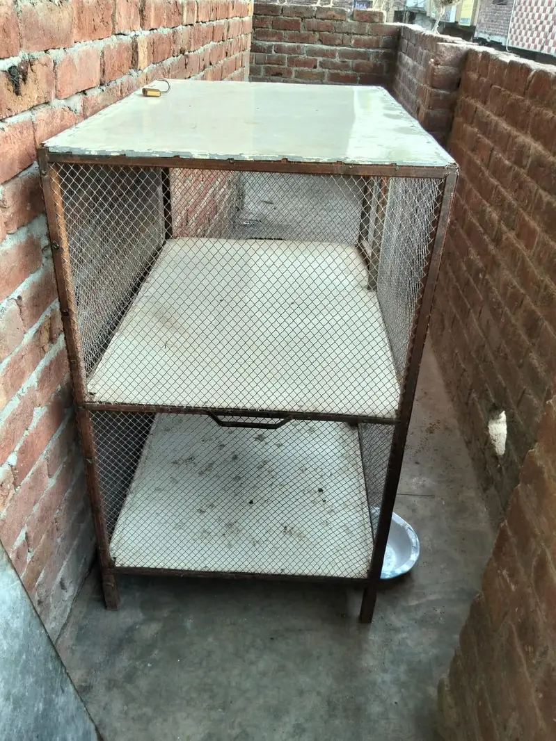 hen cage — photo 2