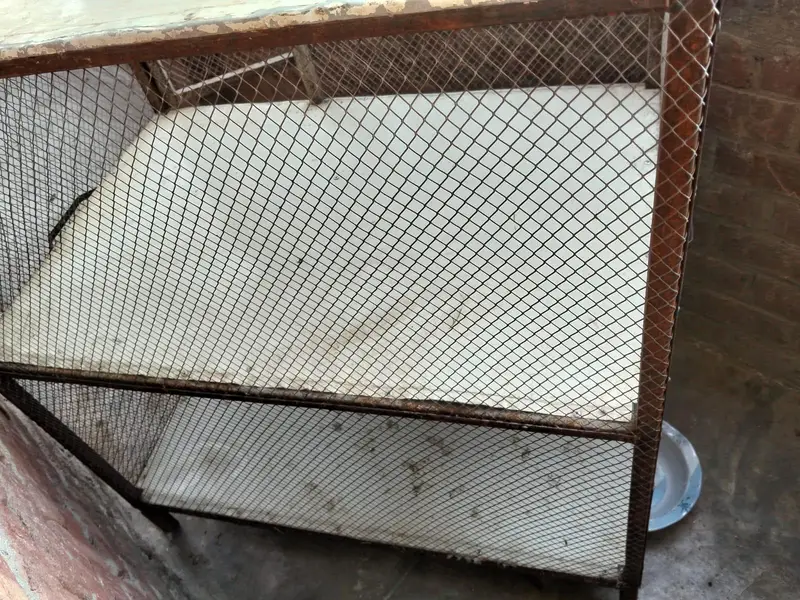 hen cage — photo 4