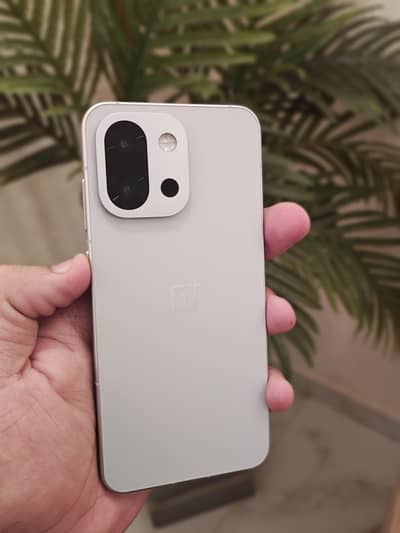 One Plus Other Model