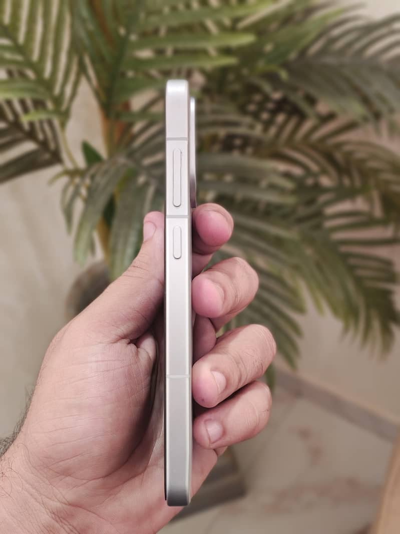 One Plus Other Model 4