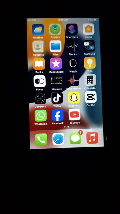 Apple  7.  .