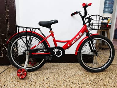 Weilaixi Imported Cycle - 20 size - 0320/2257/271