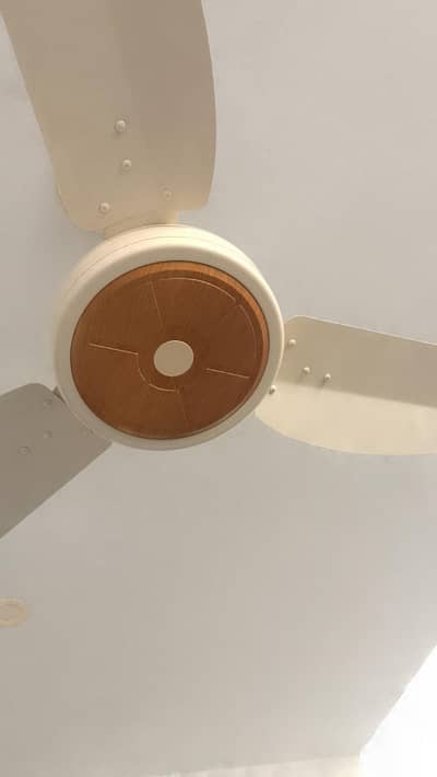 sale Ac DC fan arjant