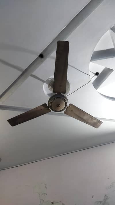 coper wire sceiling  fan