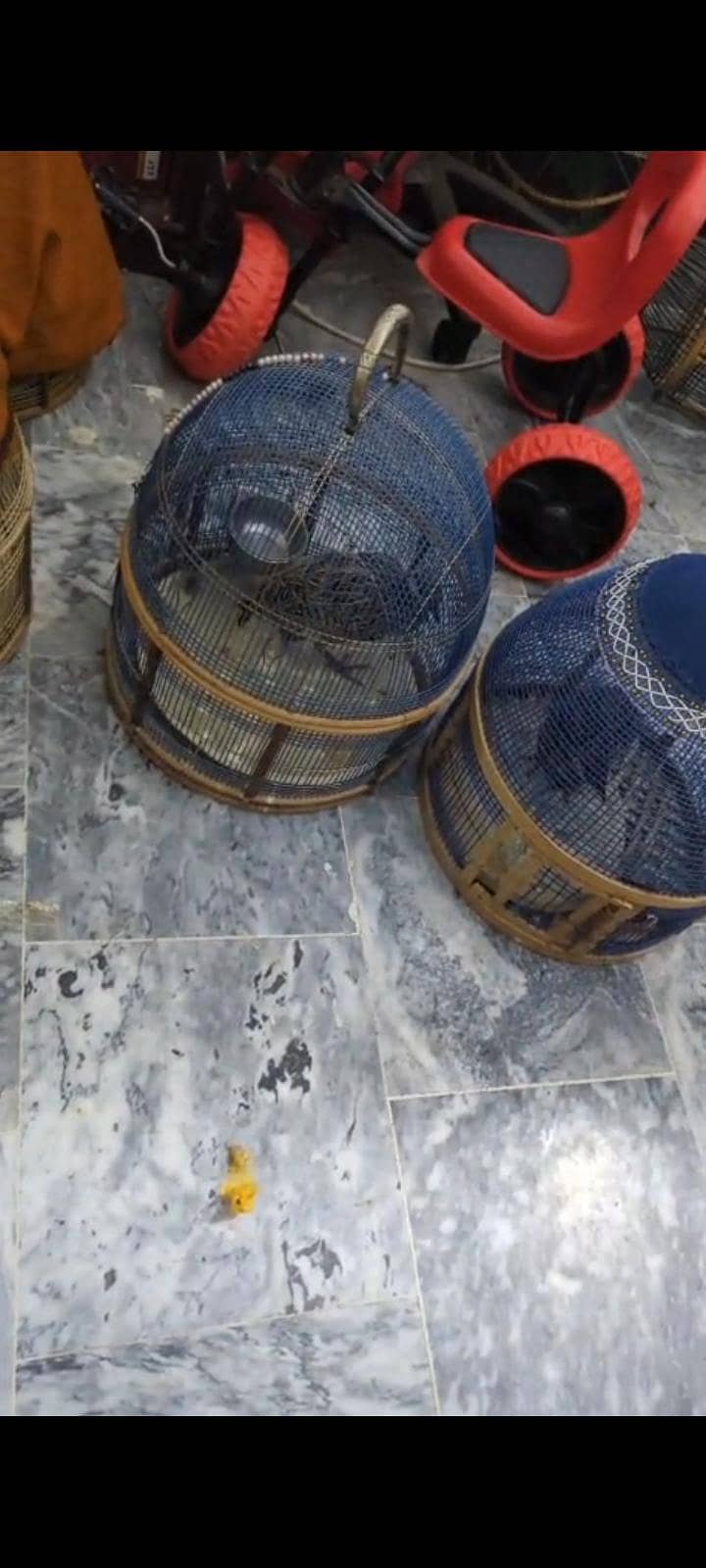 ForSale 1