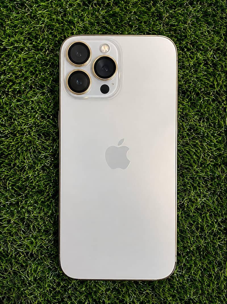 Apple iPhone 13 Pro Max 1