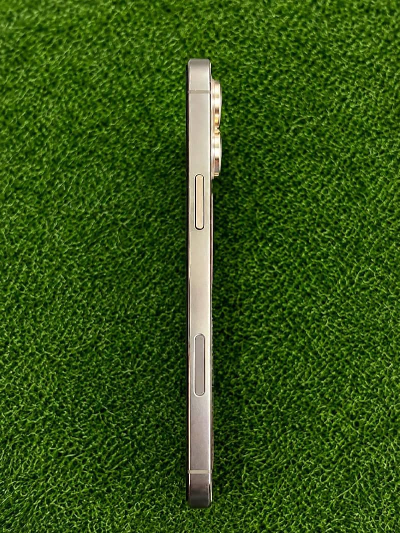 Apple iPhone 13 Pro Max 2
