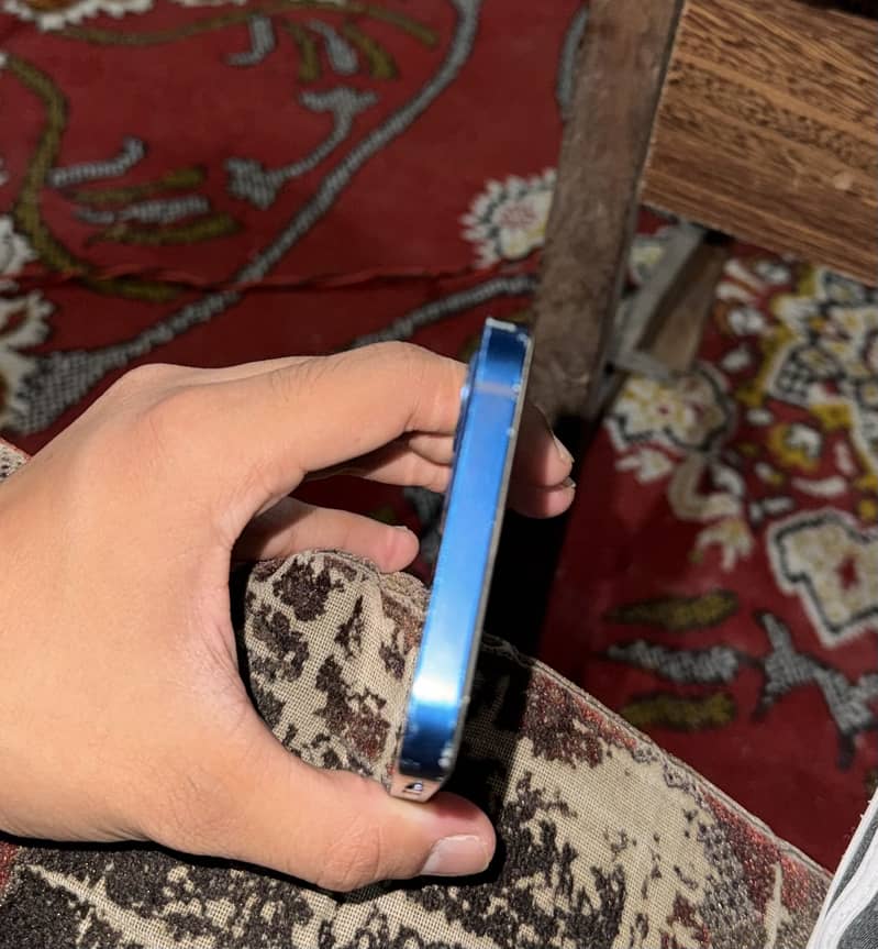 Apple iPhone 12 1
