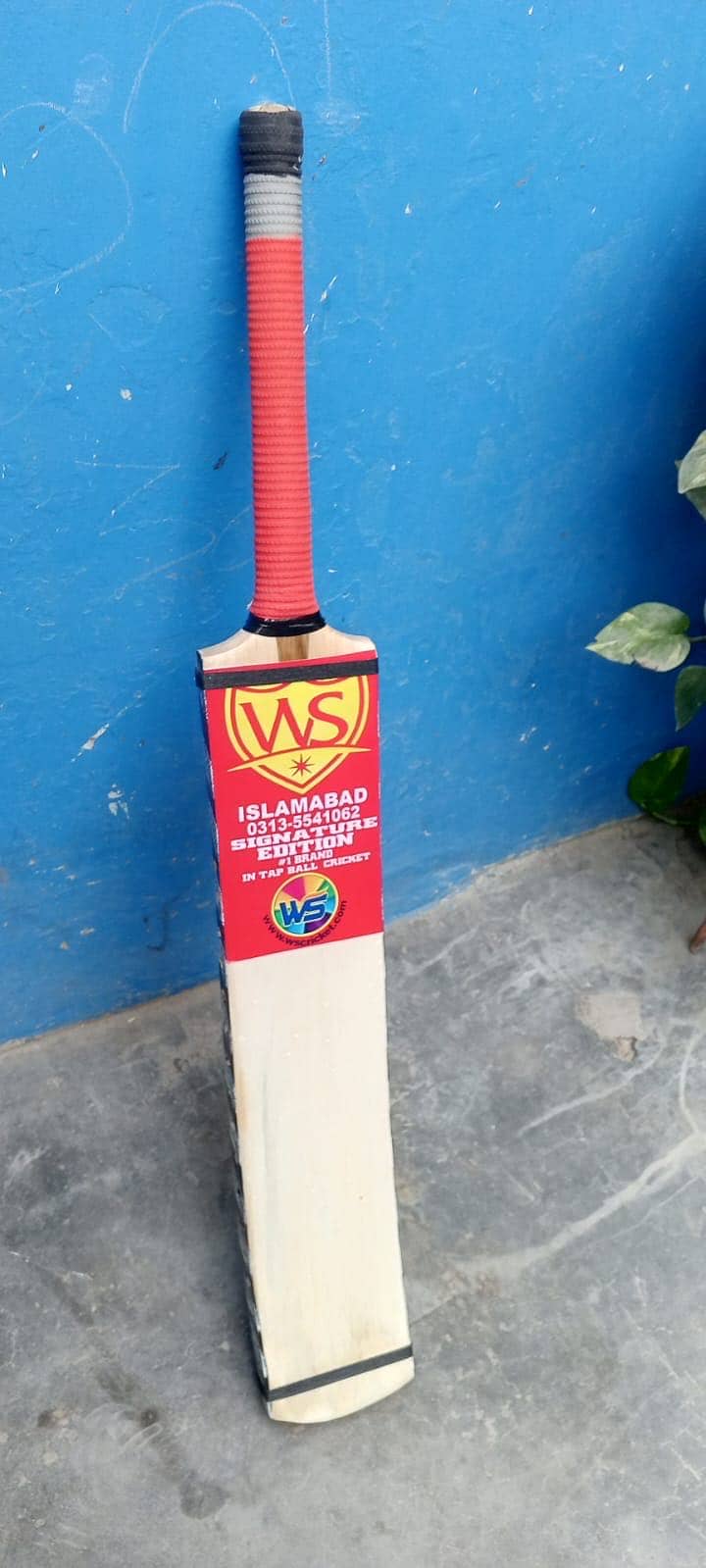 Cricket Bat 1