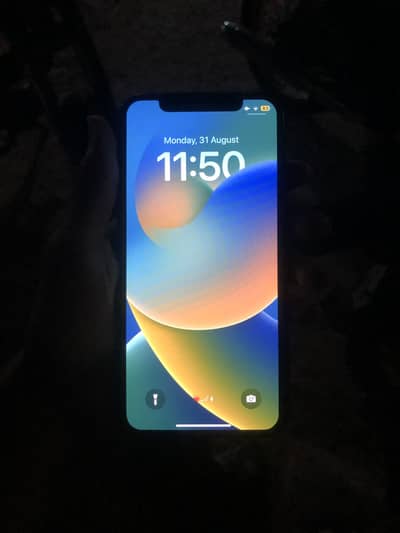 Apple iPhone X