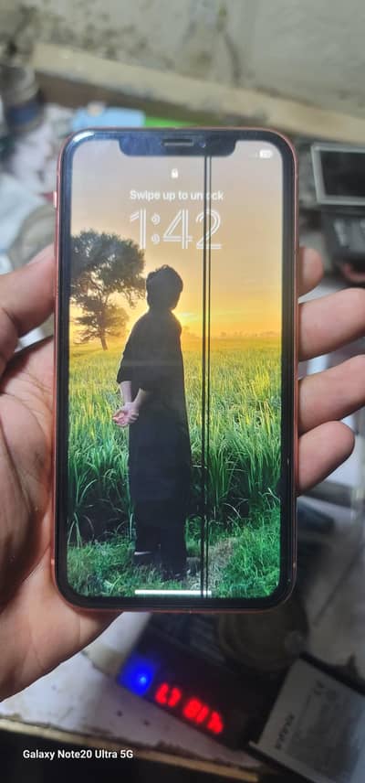 Apple iPhone XR