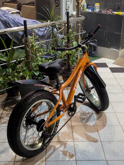 trinx 20 inches cycle