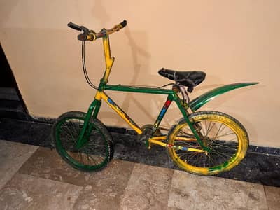 phonix cycle
